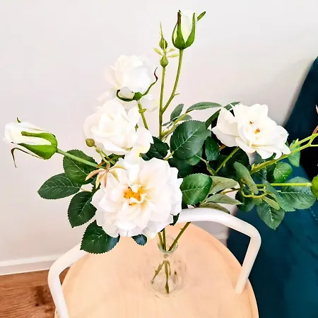 Bella Mare 2br Várna